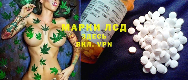 ГАЛЛЮЦИНОГЕННЫЕ ГРИБЫ Алексин