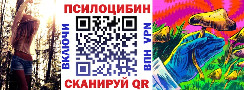 наркотики дарк нет какой сайт Галлюциногенные грибы GOLDEN TEACHER Хотьково